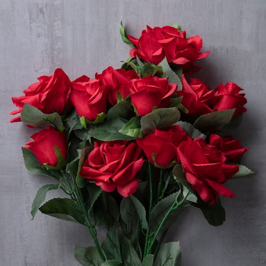 Red Rose Bush by Ashland®
